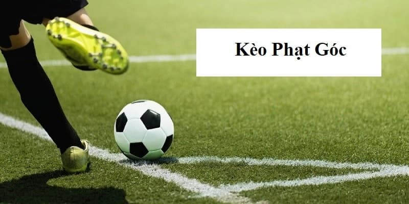 Kèo phạt góc Tổng quan về kèo phạt góc
